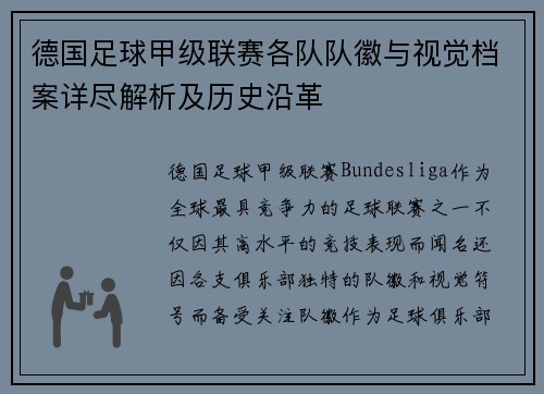 德国足球甲级联赛各队队徽与视觉档案详尽解析及历史沿革