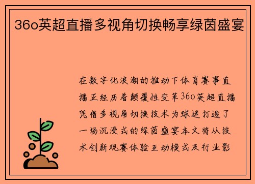 36o英超直播多视角切换畅享绿茵盛宴